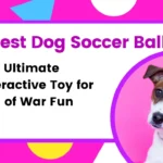Dog Soccer Ball