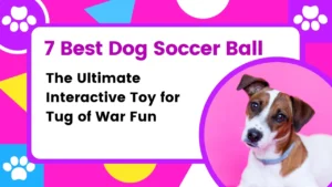 Dog Soccer Ball