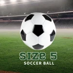 Best Size 5 Soccer Ball