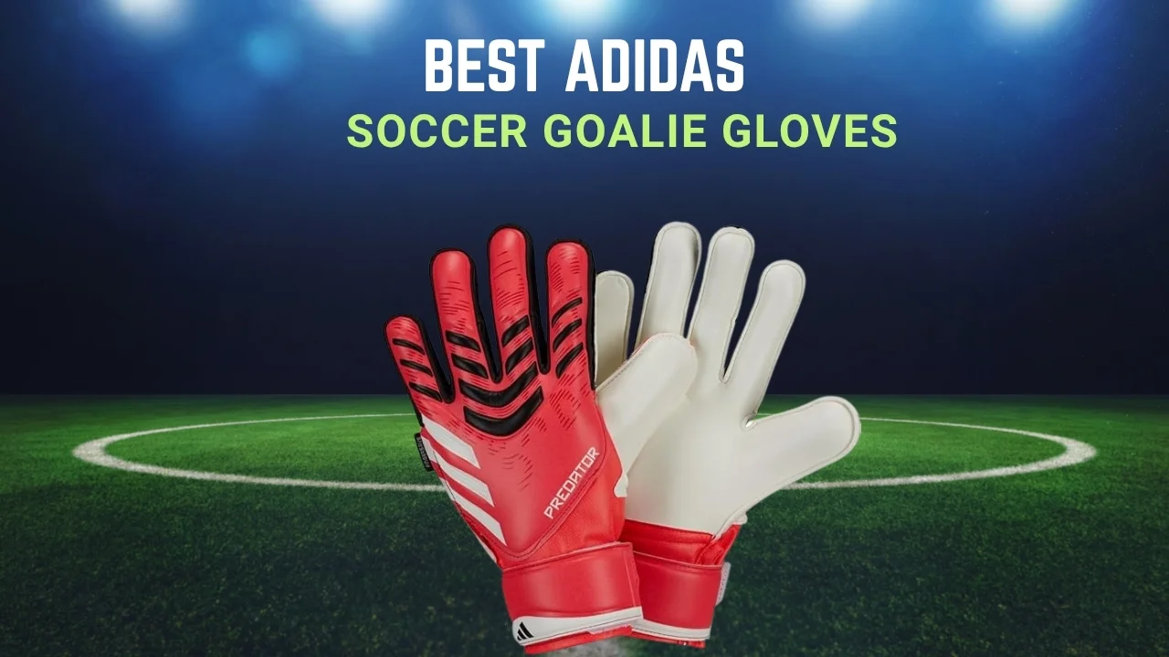 Best Adidas Soccer Goalie Gloves